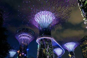 Gardens by the Bay – Singapore
