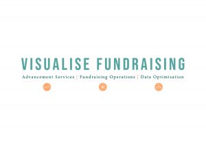 Visualise Fundraising logo