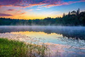 foggy sunrise over forest lake