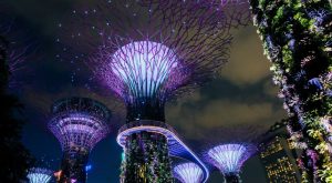 singapore garden architecture lit at night