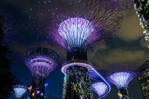 singapore sky gardens at night