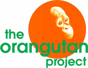 the orangutan project logo