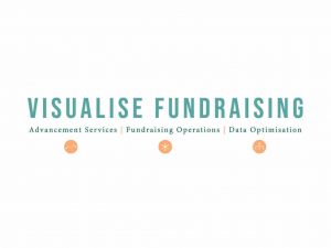 Visualise Fundraising
