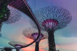 Pink sky at Marina bay gardens Singapore